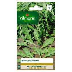 ROQUETTE Cultivée SACHET...