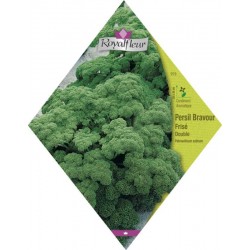 Persil bravoure frise double