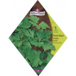 Persil geant d''''italie simpl